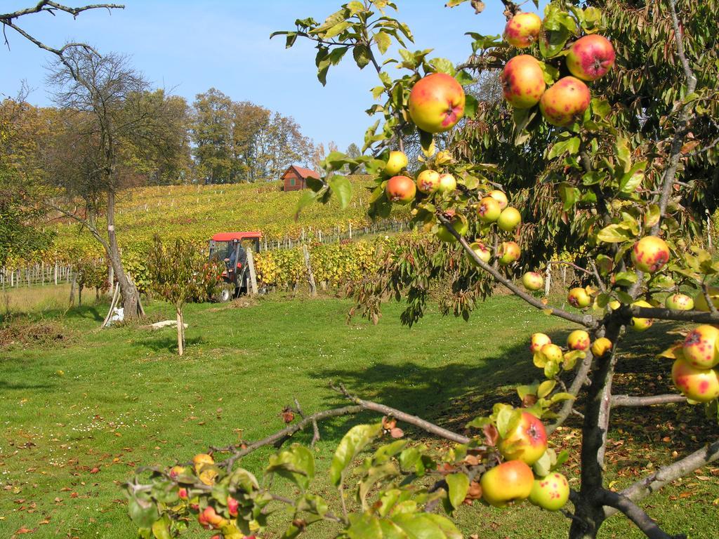 Gaestewohnung Ida Oberwart Bagian luar foto